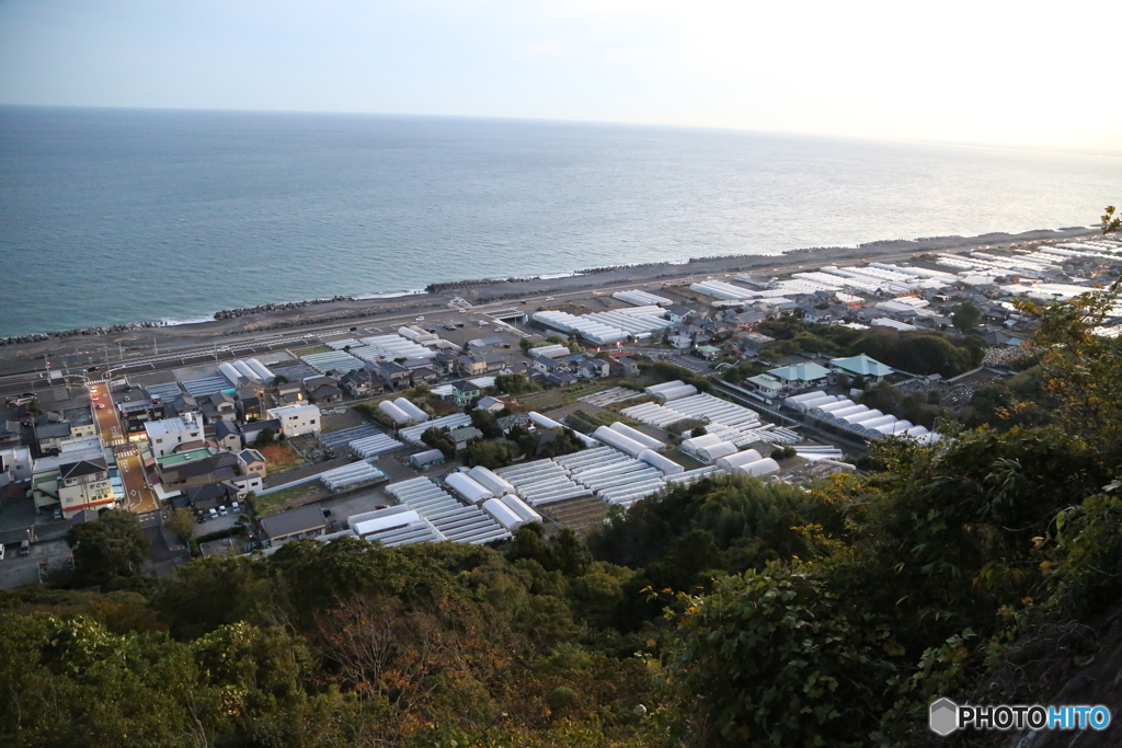 駿河湾