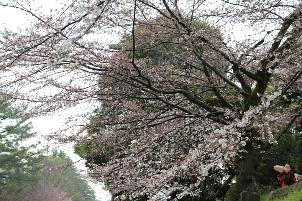 蹴上インクライン