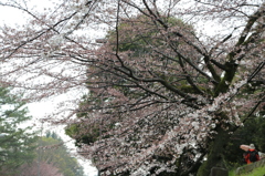 蹴上インクライン