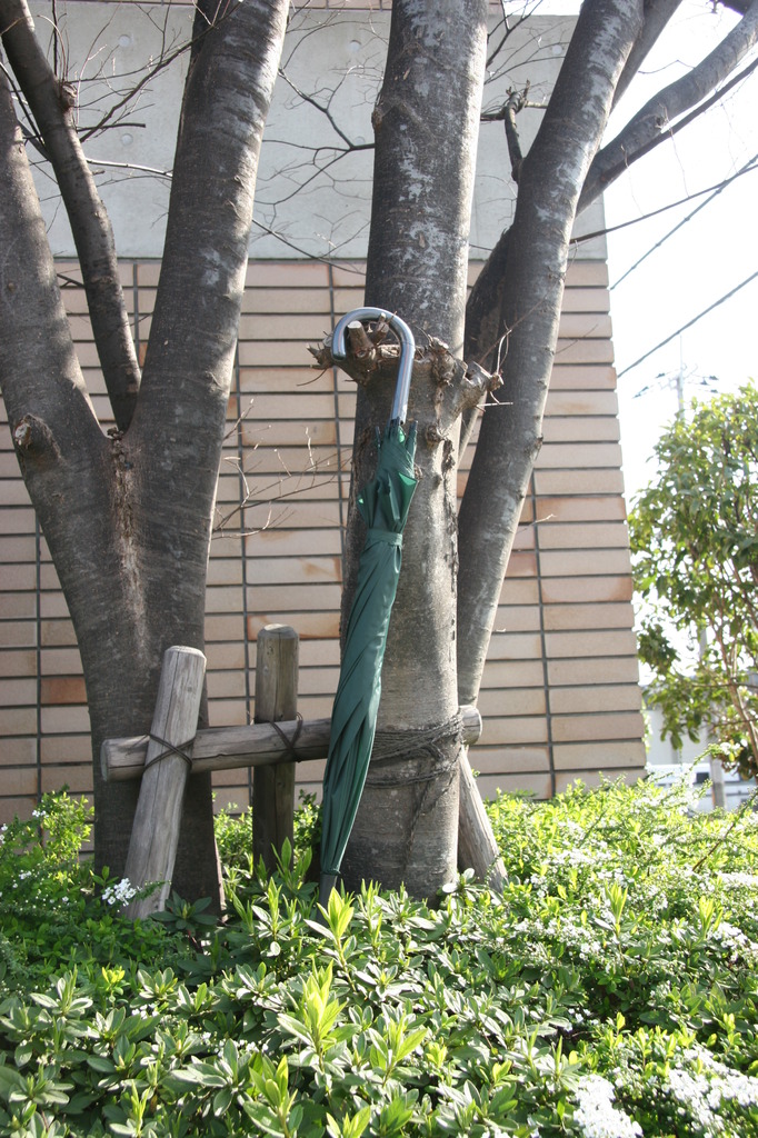 生野区