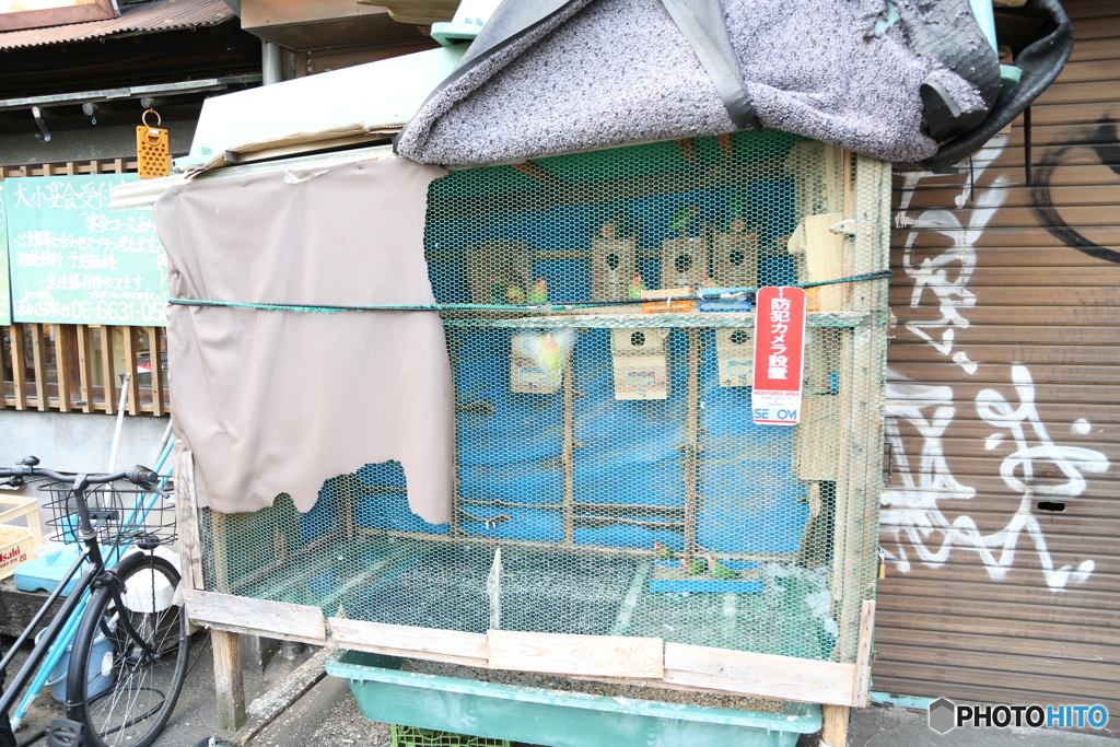鳥小屋