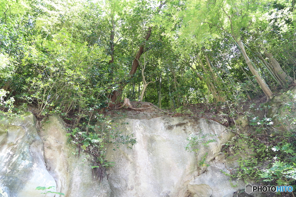 瑞巌寺