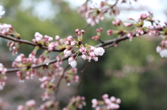 蹴上インクライン