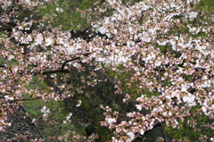 蹴上インクライン