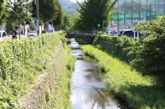 宮の森