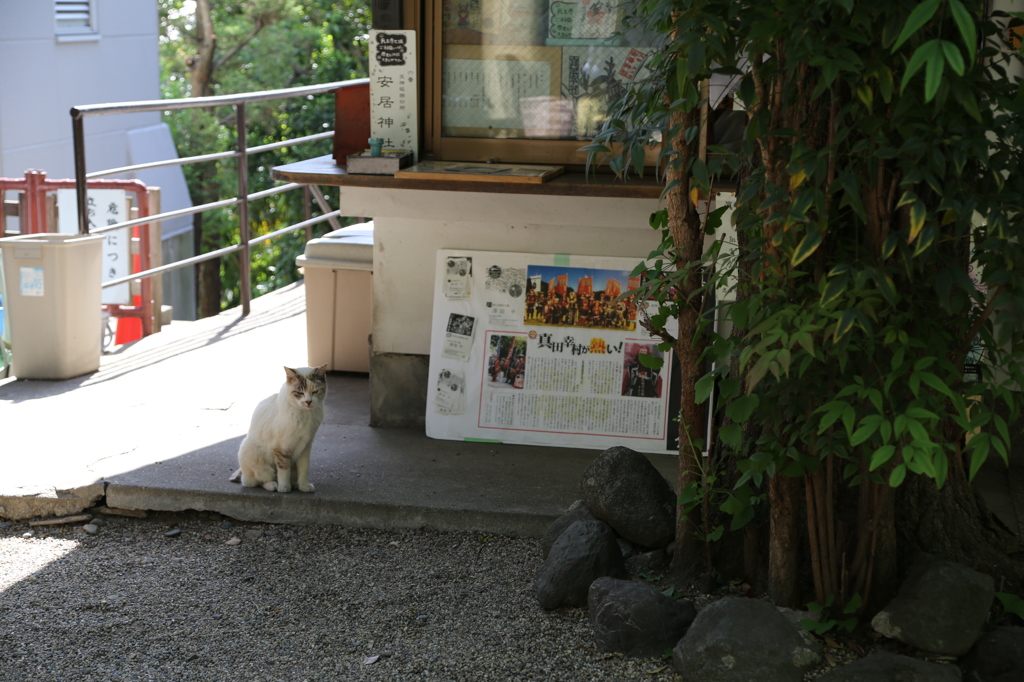 安居神社