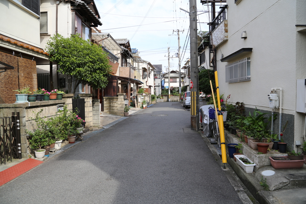 泉大津