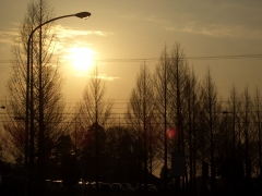 CIMG0462