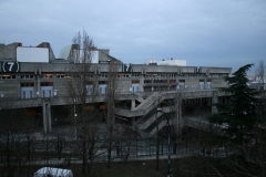 IMG_0351