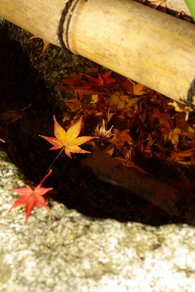 京都　大原　紅葉2