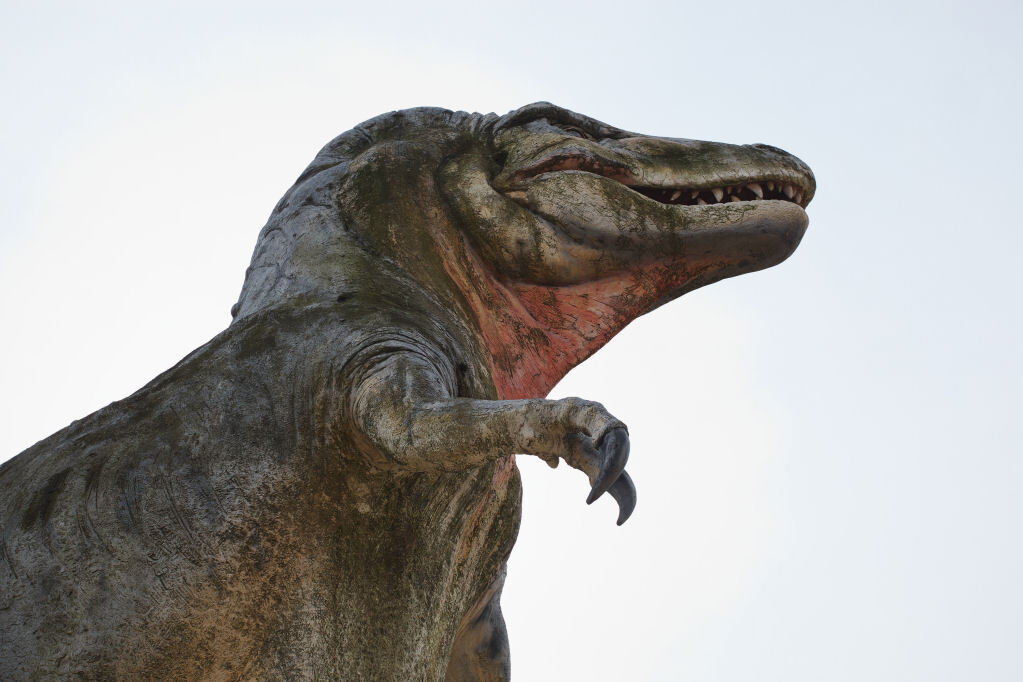 ティラノザウルス