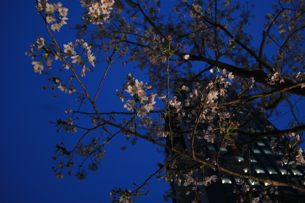 UpperLight