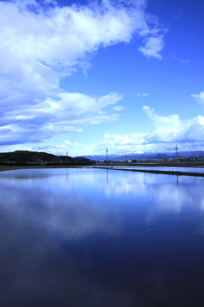 青い水面