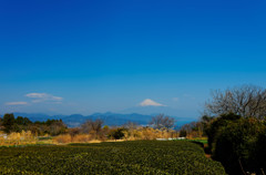 日本平からの富士山