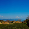 日本平からの富士山