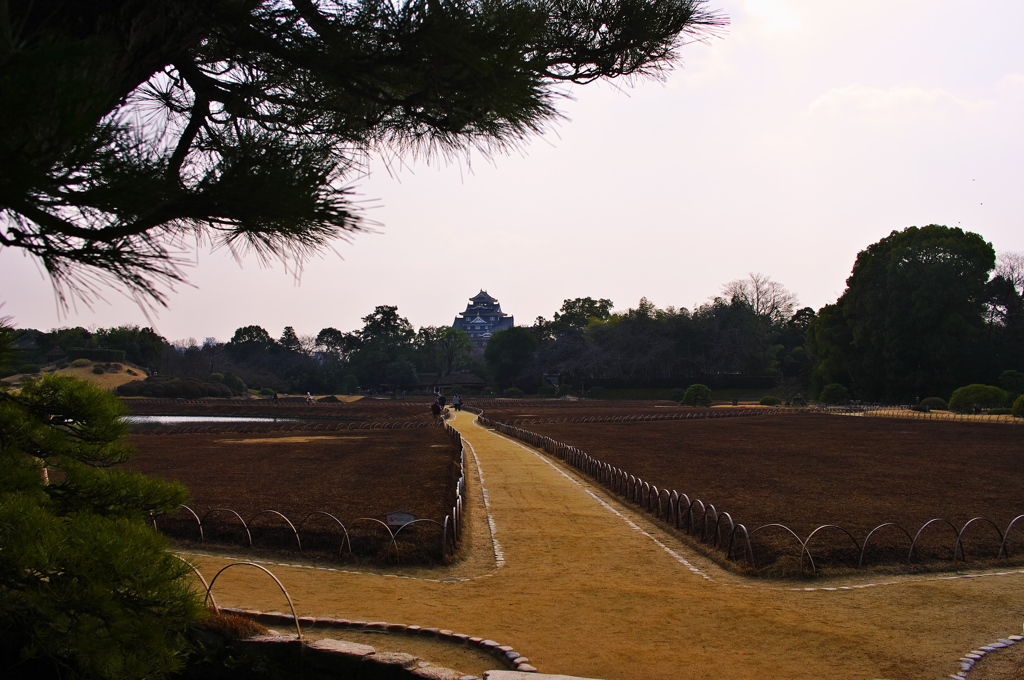 あそこが岡山城