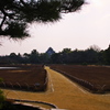 あそこが岡山城