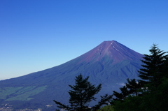 三つ峠からの富士山