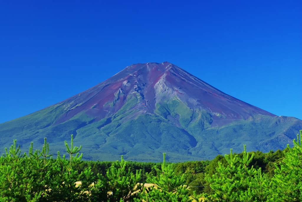 夏の富士山