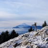 雲取山からの富士山