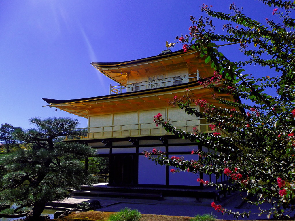 久しぶりの金閣寺