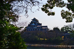 岡山城を望む
