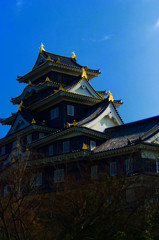 岡山城と金鯱