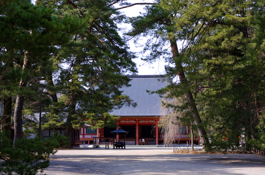 毛越寺