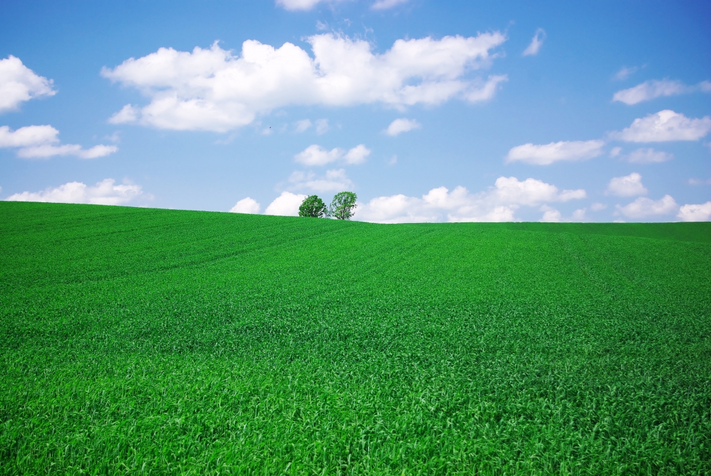 美瑛ーーーーーー！