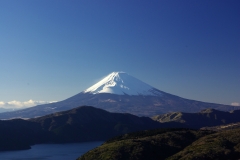 あーーー日本