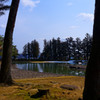 浄土庭園