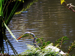 見えとるで、、、、、