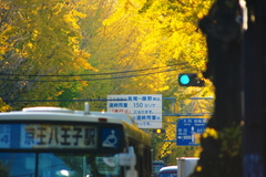 黄金のトンネル