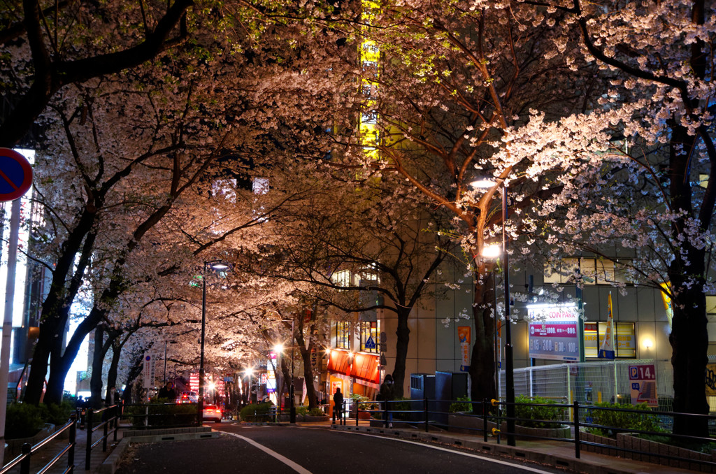 渋谷さくら通り