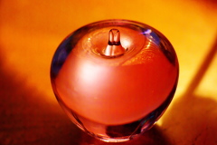 オレンジリンゴ