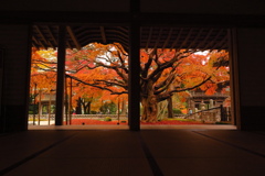 雷山千如寺