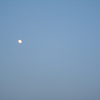 夕方の月