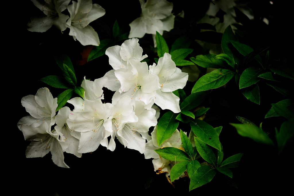 そのままの君で