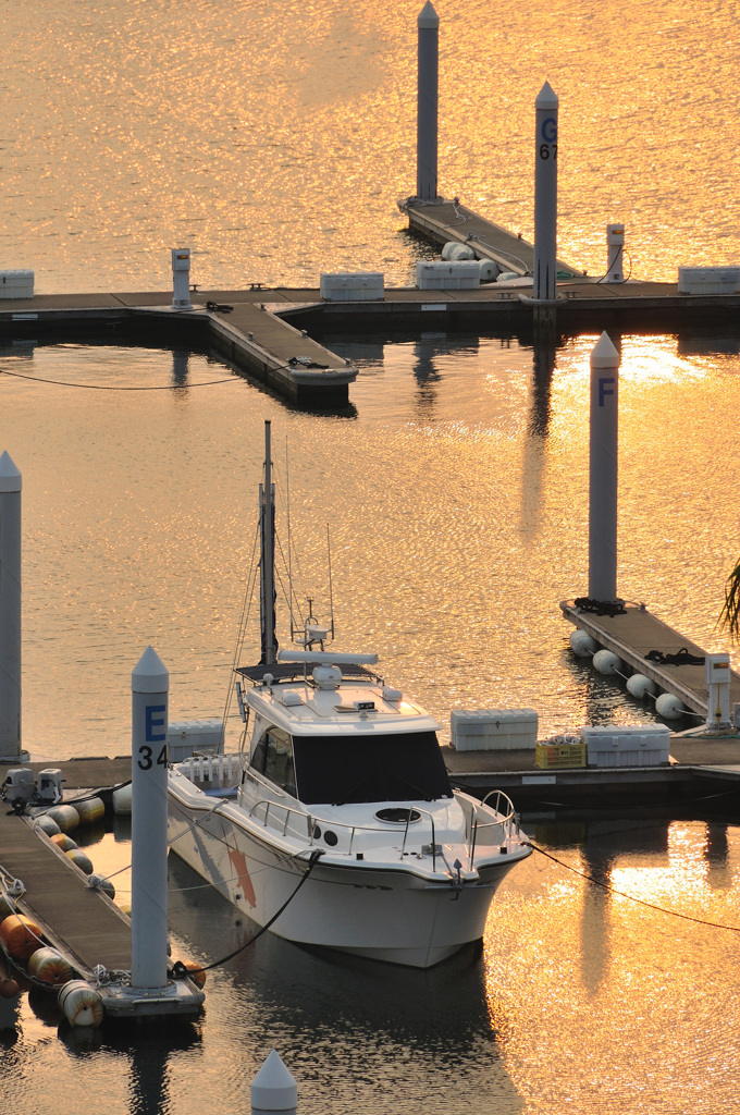 Sunset Harbor
