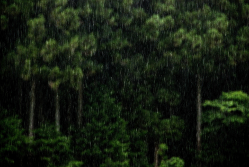 雨