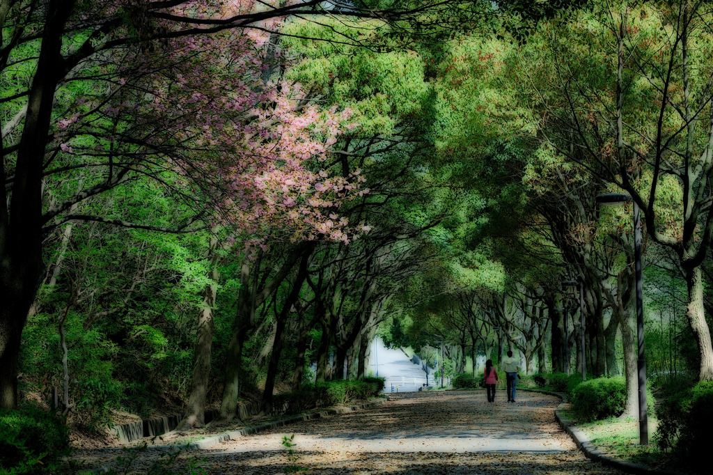 春の散歩道