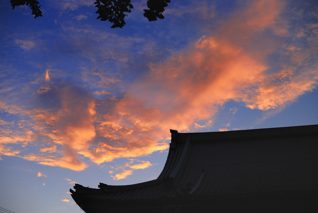 茜雲