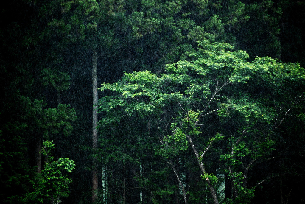 雨Ⅲ