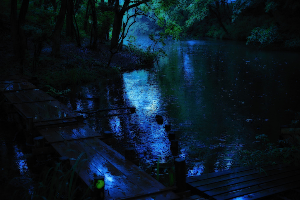 雨