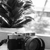 Leica