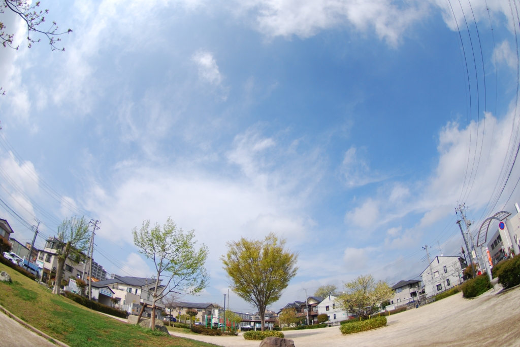 見上げた空