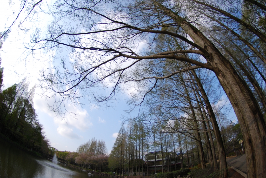 公園