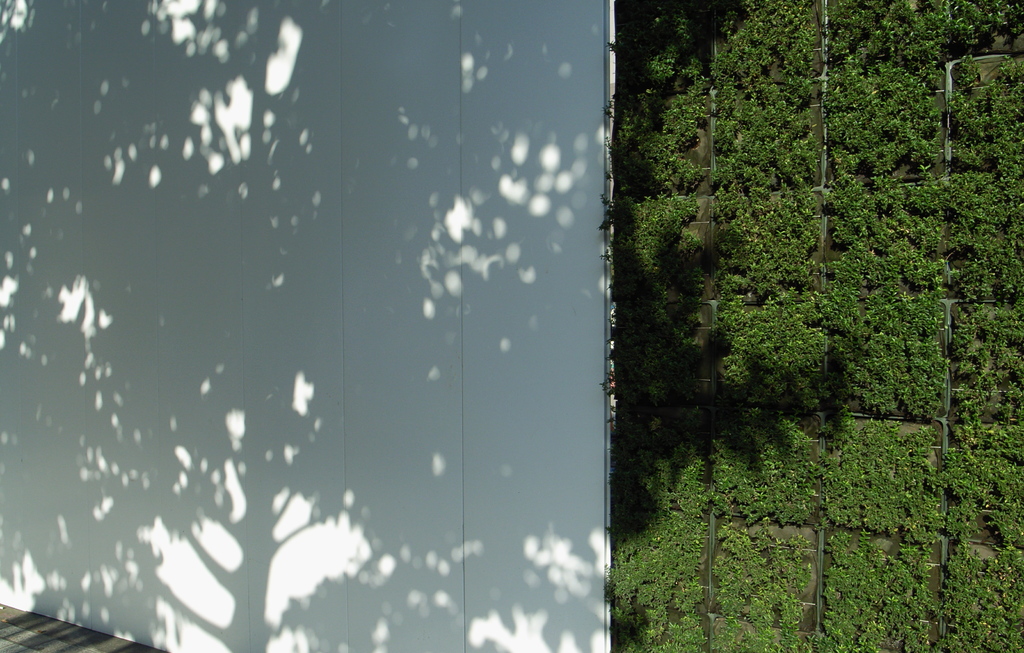 SCREEN～GREEN