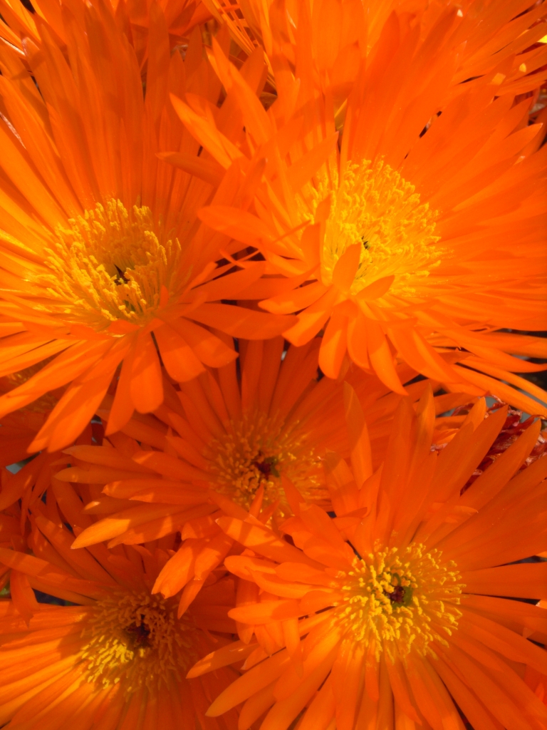 R0012853