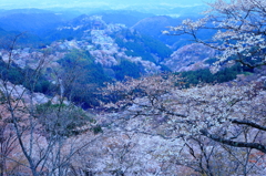 吉野絶景